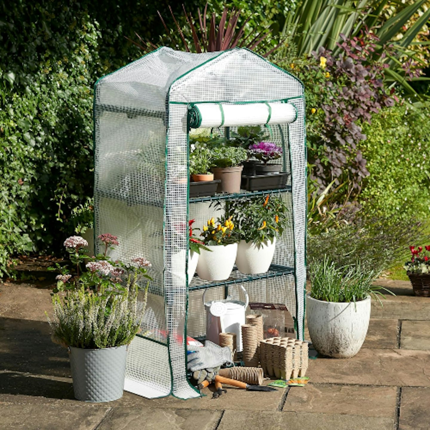 Bramble plastic greenhouse 