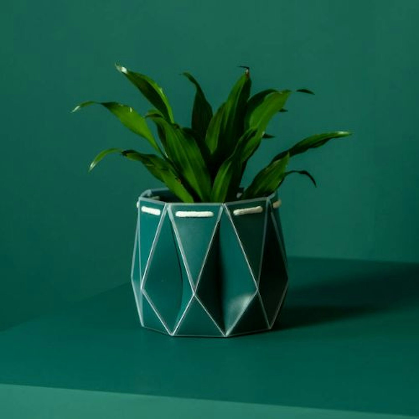 POTR Origami Self Watering Eco Plant Pot