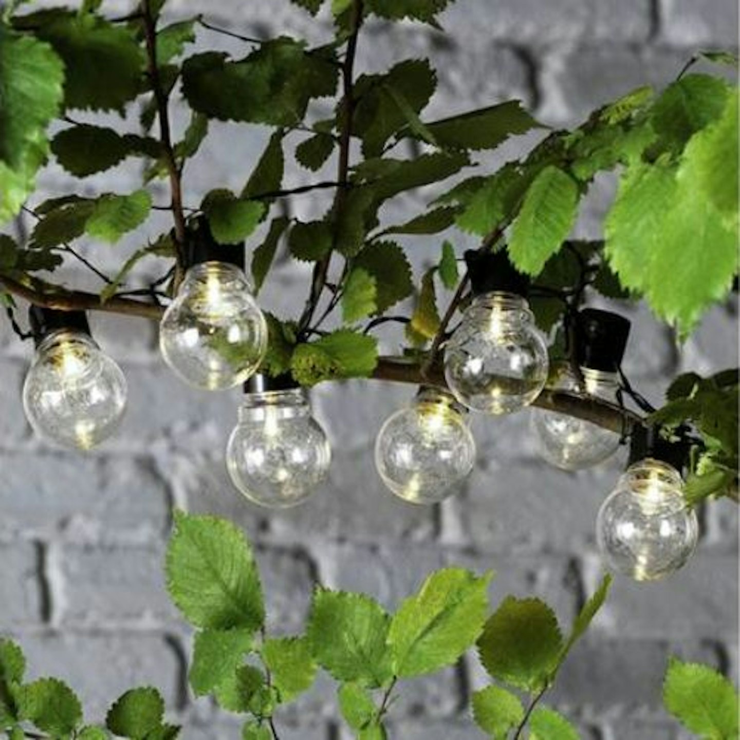 Habitat 20 Warm White Festoon Solar Lights