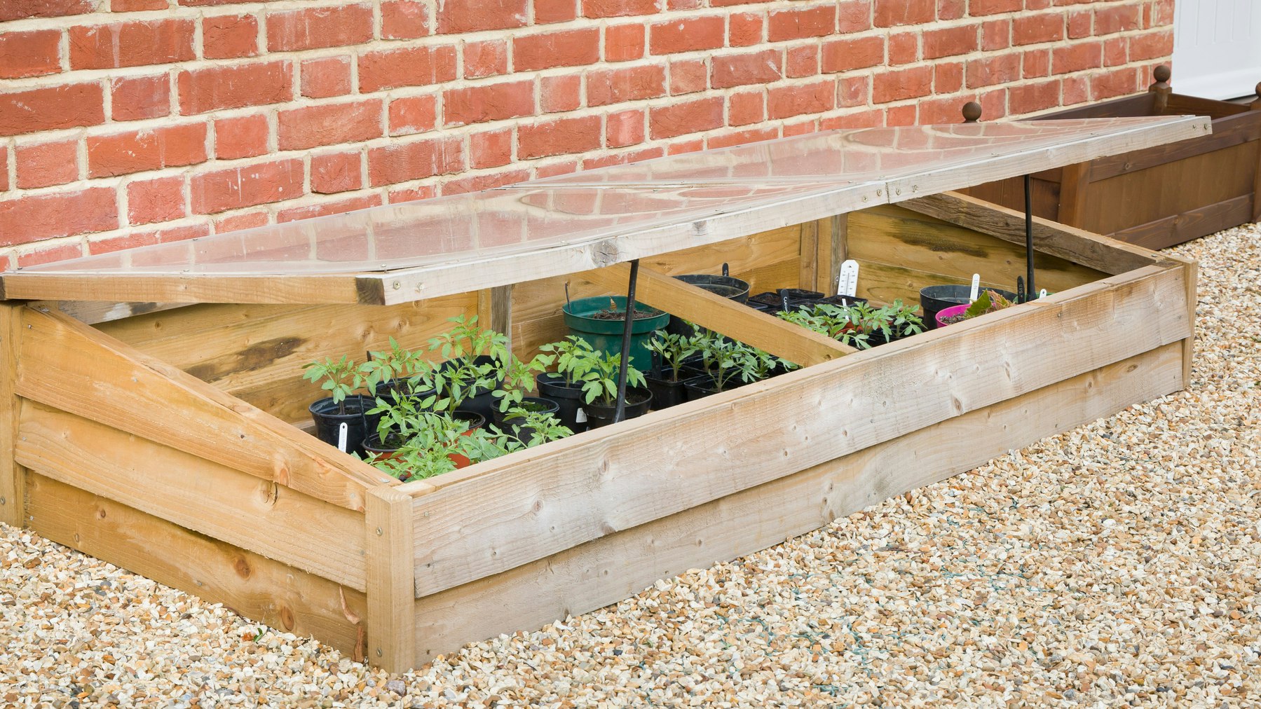 Best cold frames: Protect your plants and help them flourish
