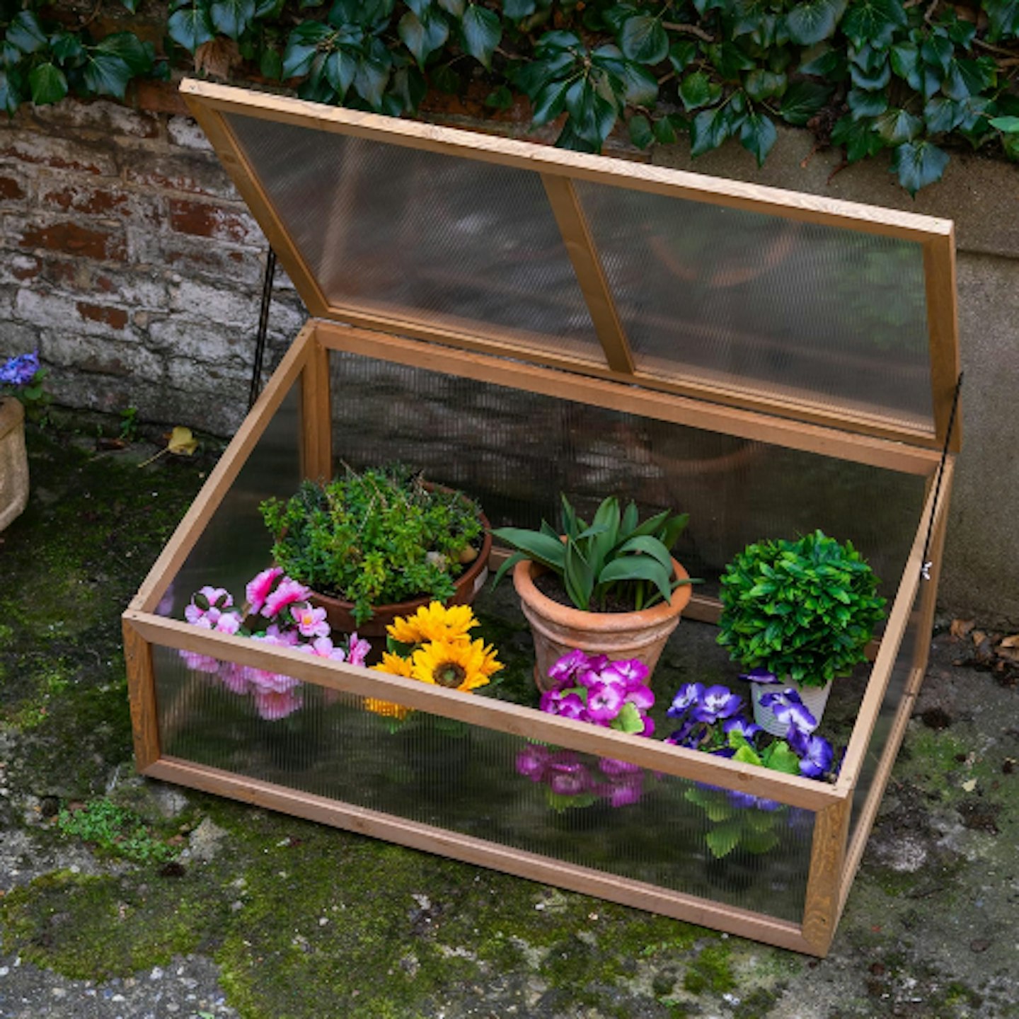 Woodside cold frame 