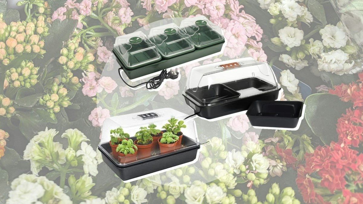 Propagator Kit 7 best heated propagators to speed up seedlings 2025