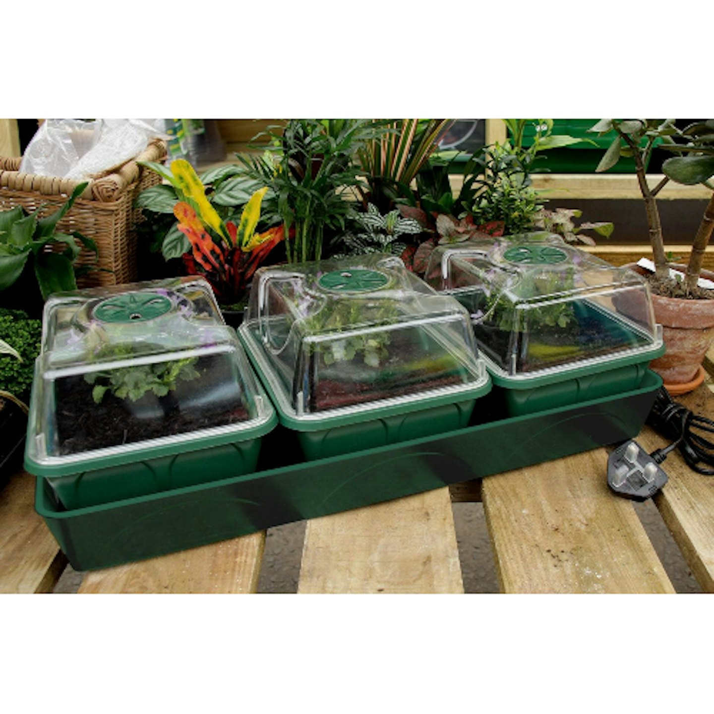 EarlyGrow heated propagator 