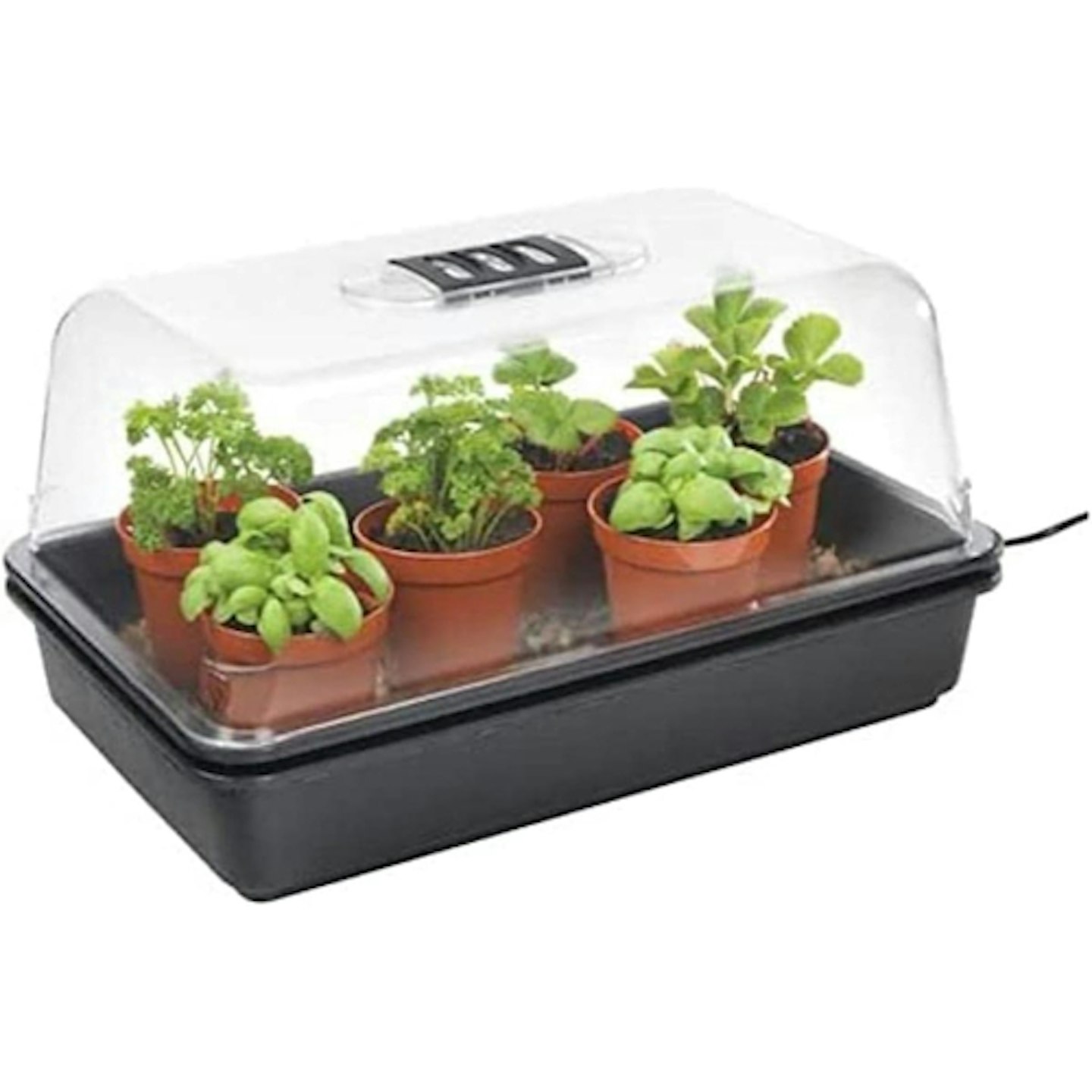 Stewart heated propagator 