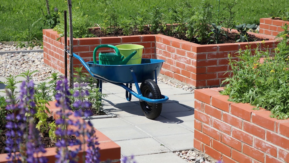 How to build a raised garden bed allyouneedtoknow guide