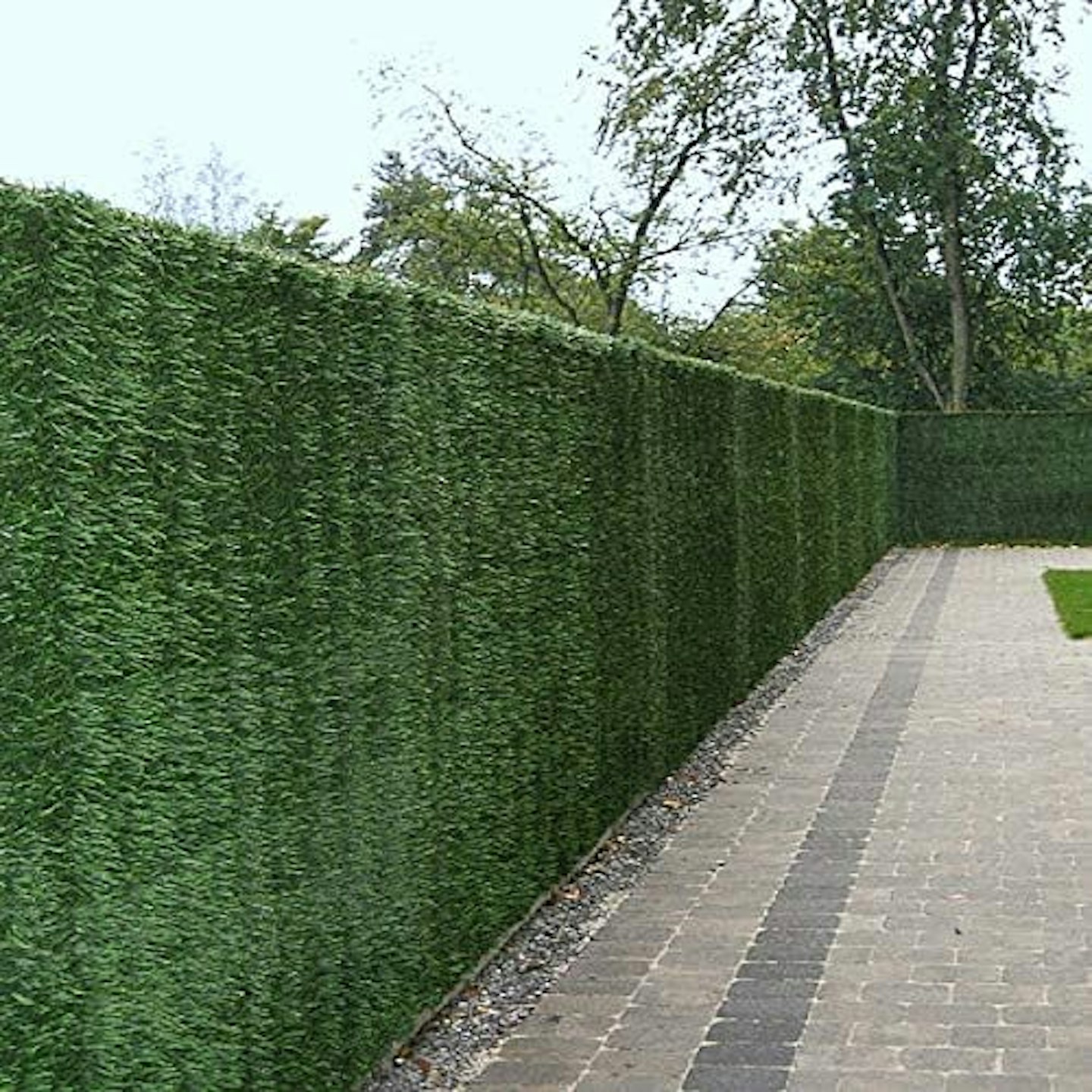 True Products garden screening 