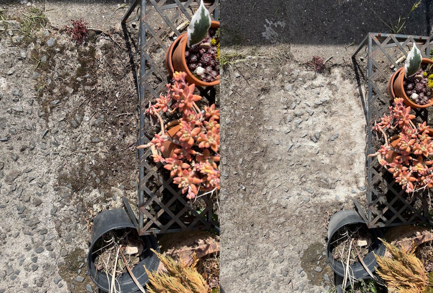 Flymo before and after 