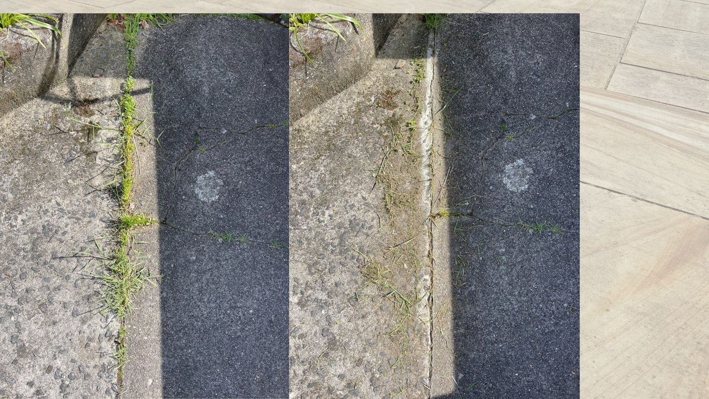 Garden Gear before and after 
