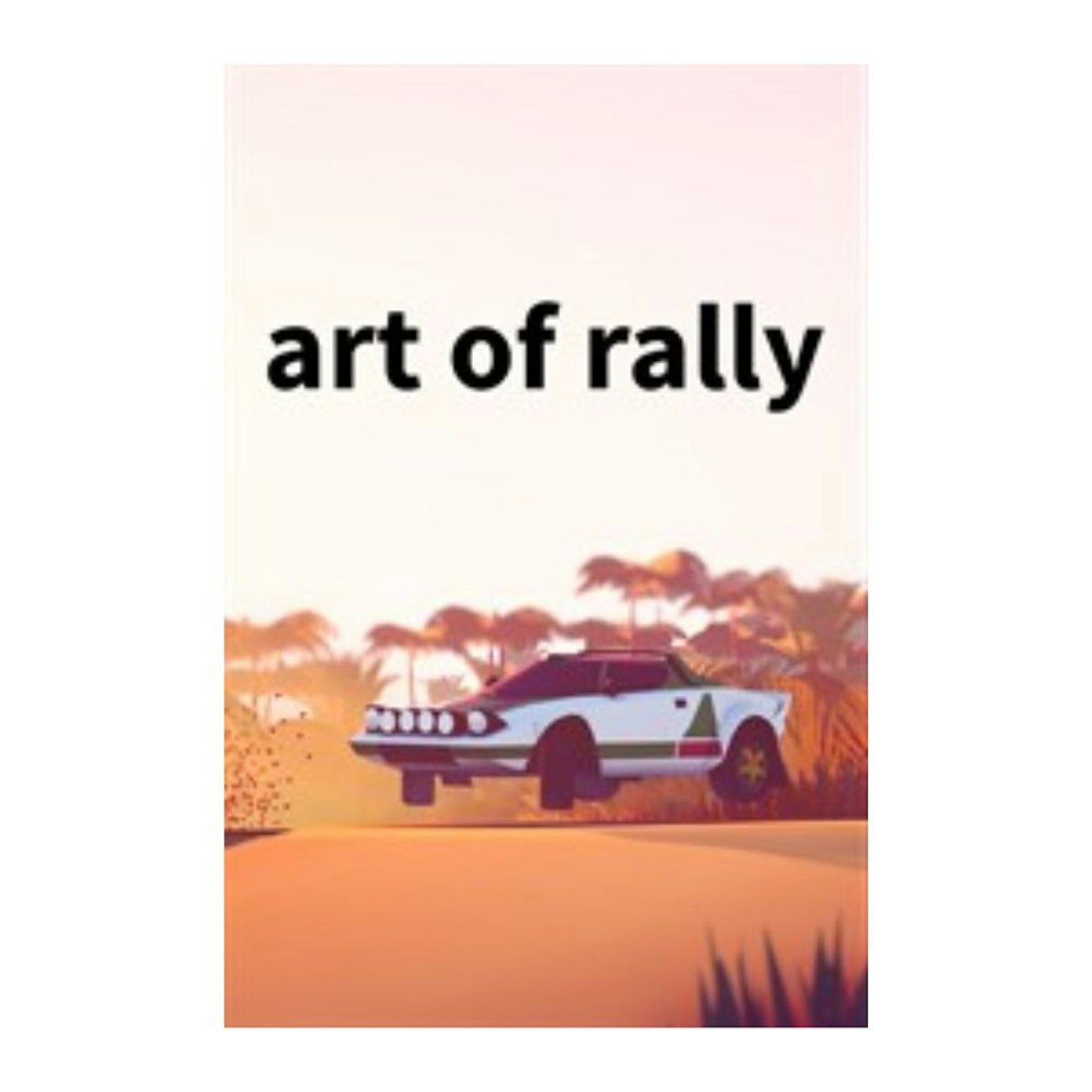 art of rally