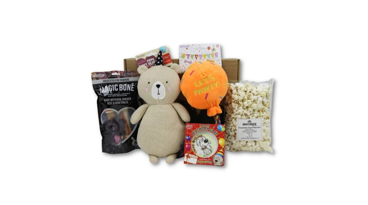 DOG BIRTHDAY PRESENT - Birthday 6 item Hamper