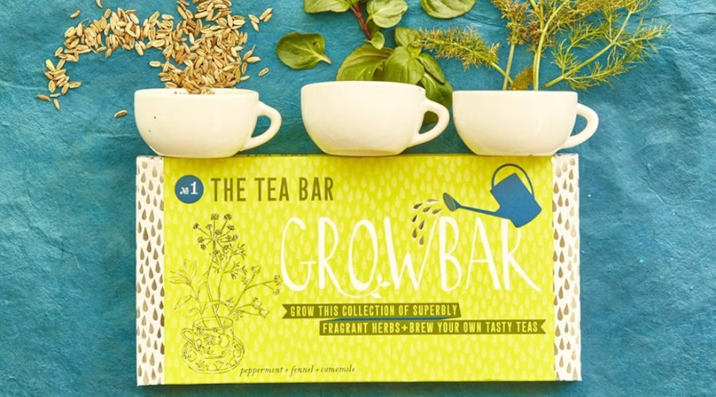 Tea Growbar