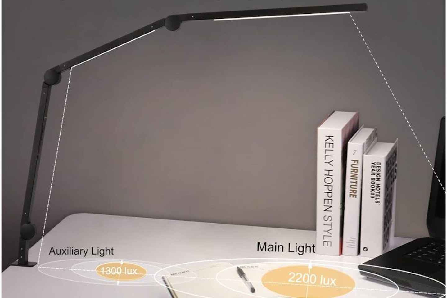 Eyocean Swing Arm Desk Lamp