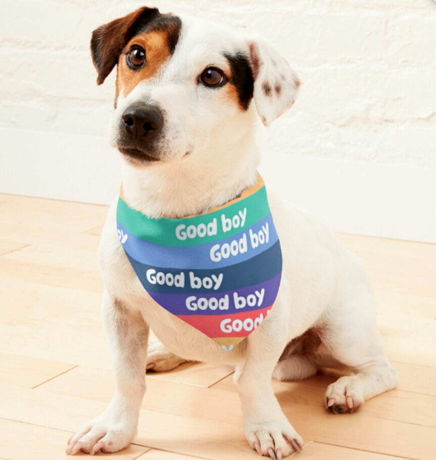 Good boy rainbow pattern Pet Bandana