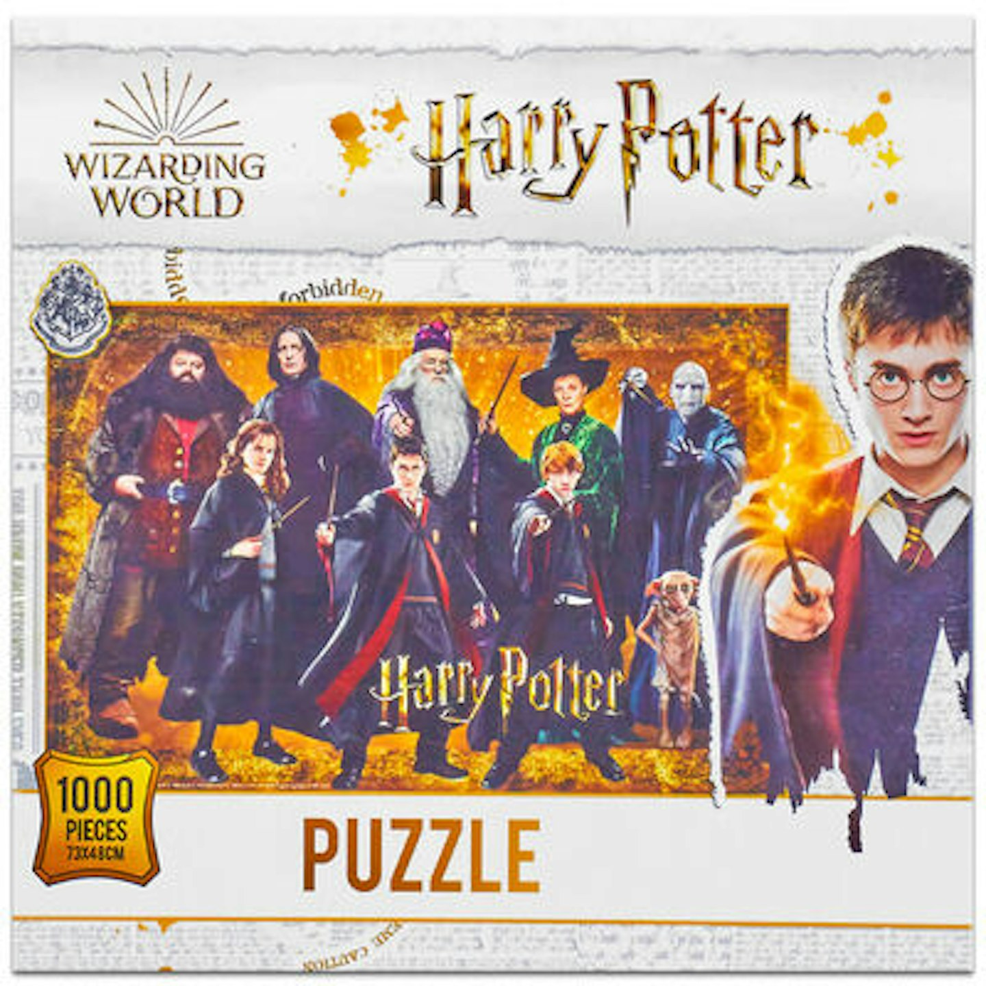 Harry Potter 1000 Piece Heroes And Villains Jigsaw