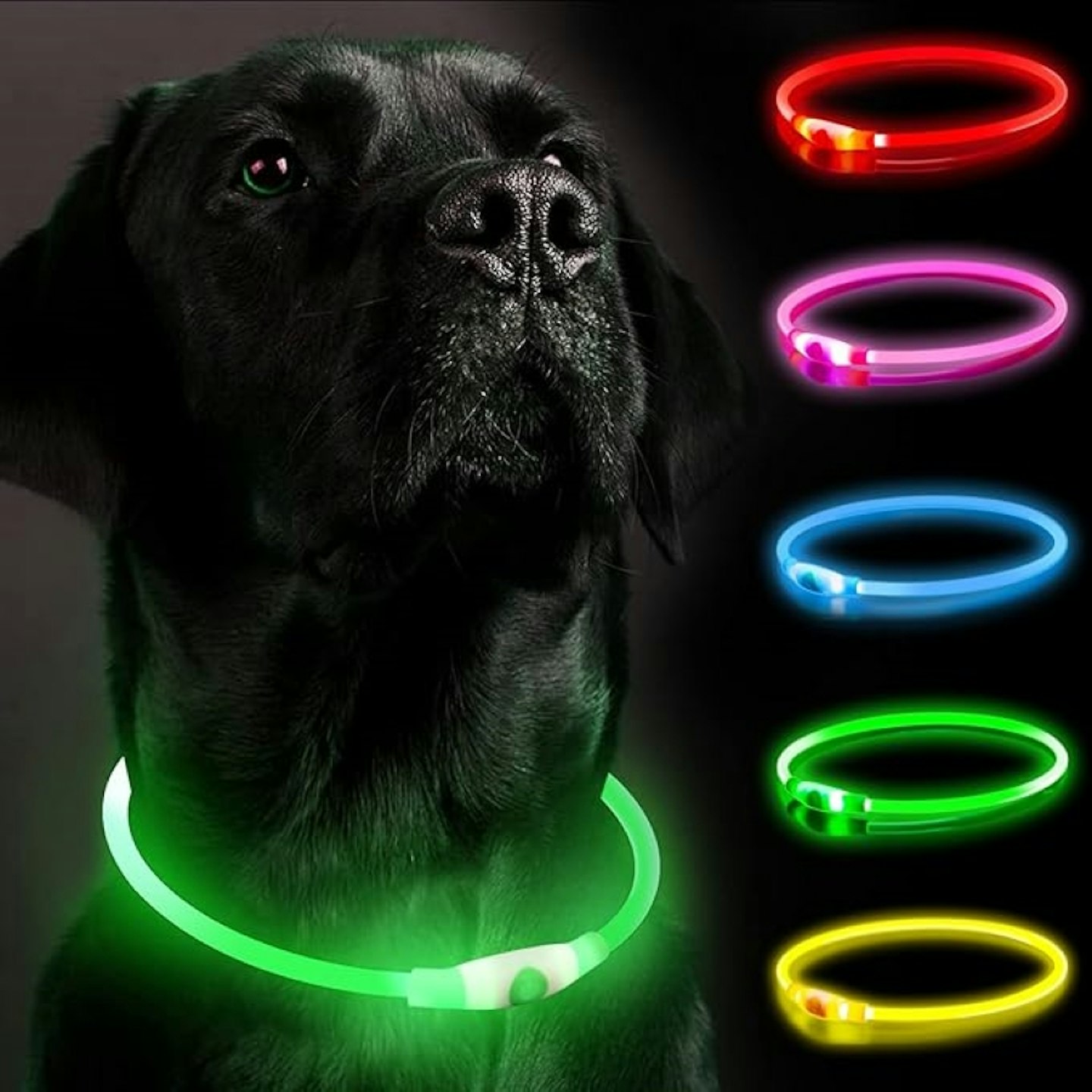 SerDa-Run Light up Dog Collar