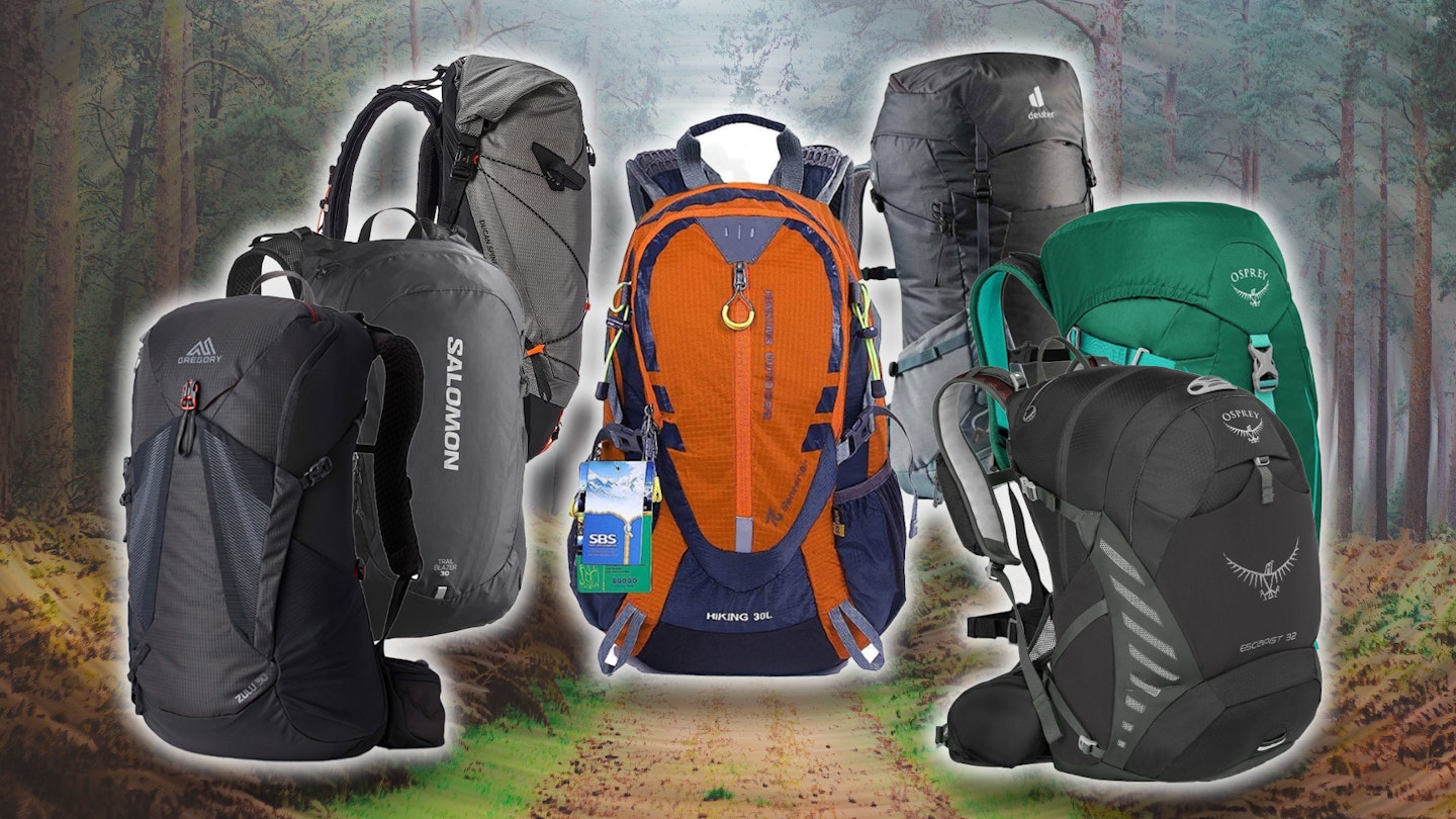 some of the best 30-litre backpacks in a forest