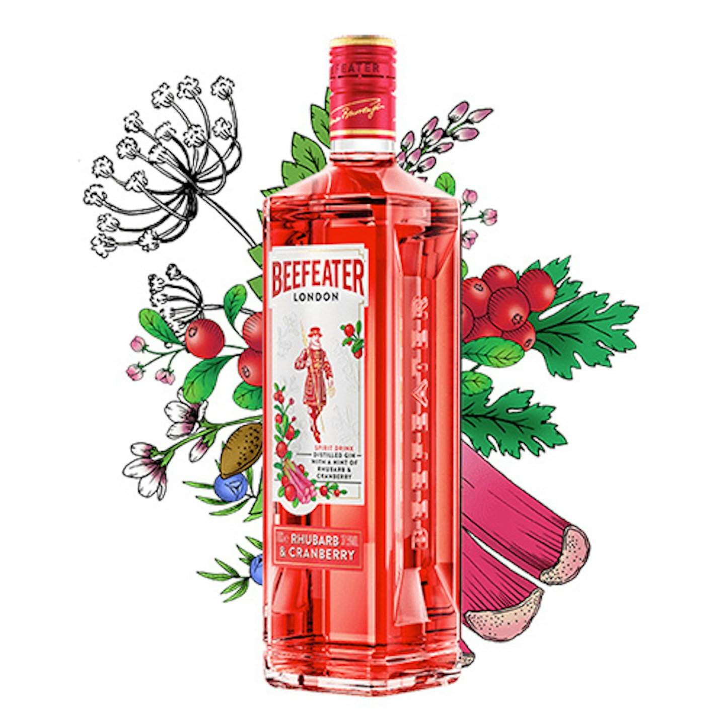 Beefeater Rhubarb & Cranberry