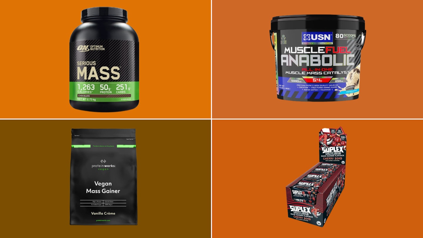 The best mass gainers of the year