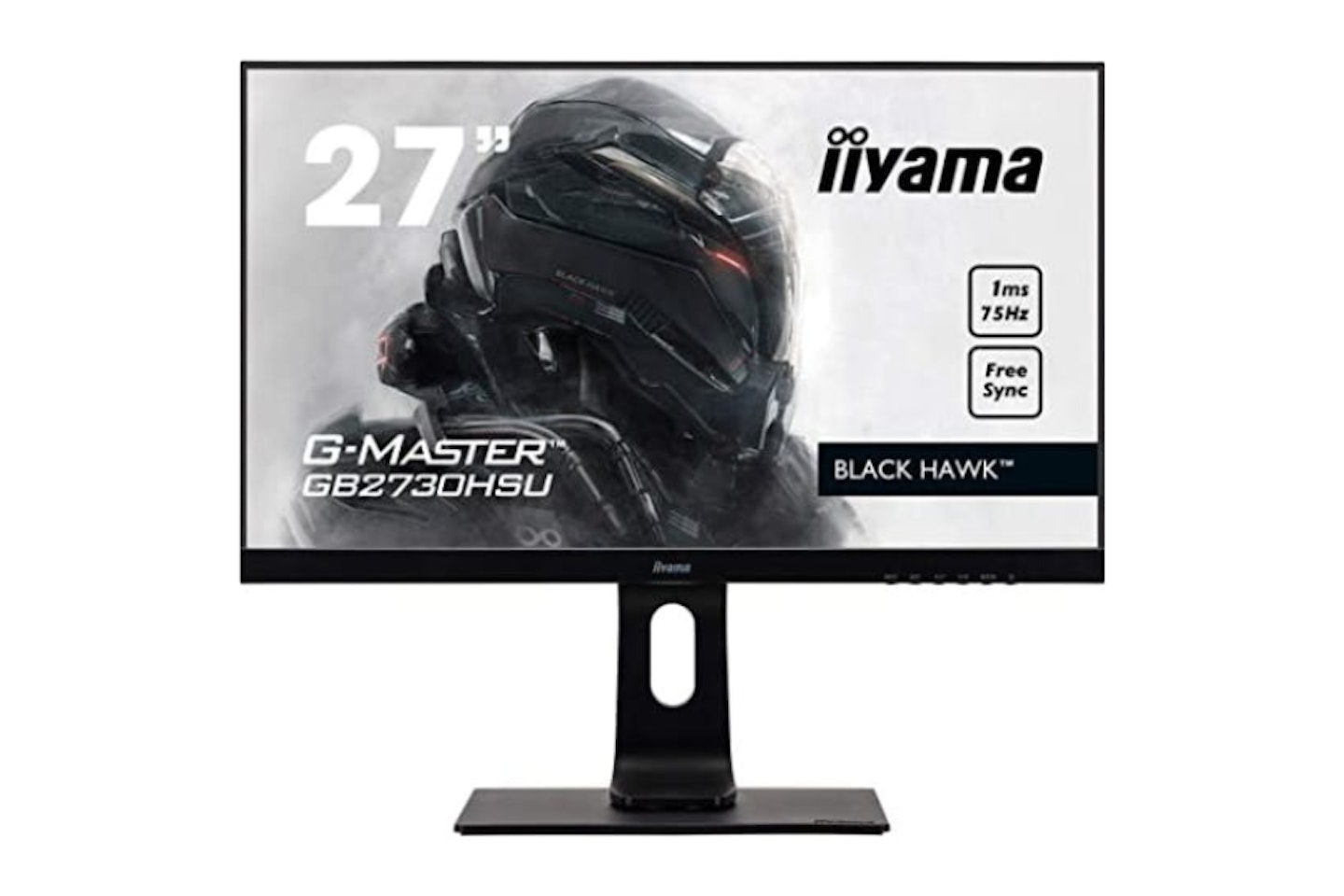 Iiyama GB2530HSU-B1 Gaming Monitor