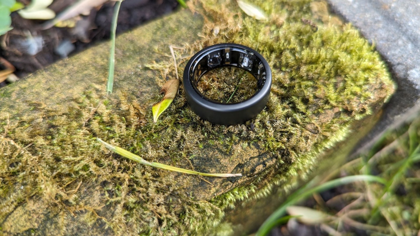 Oura Ring sitting on moss