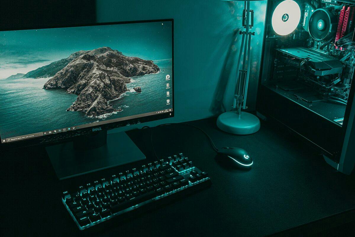 The best VPNs for torrenting