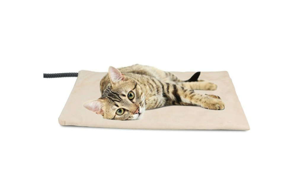 Picture of Best Heated Cat Beds 2024: Treat Your Pet with Luxury Bed