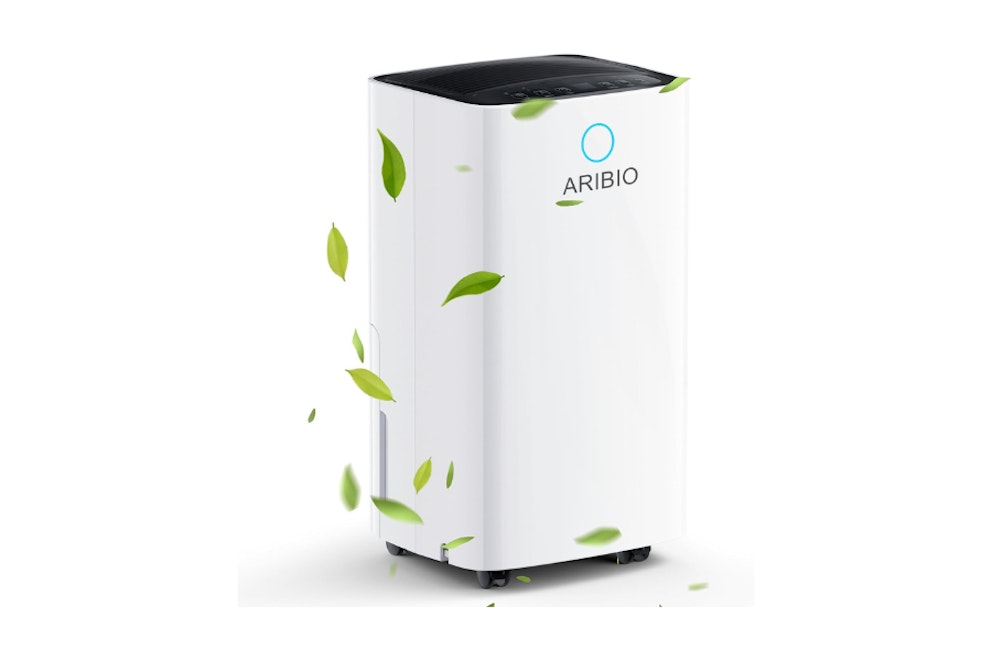 The Best Dehumidifiers for Every Budget