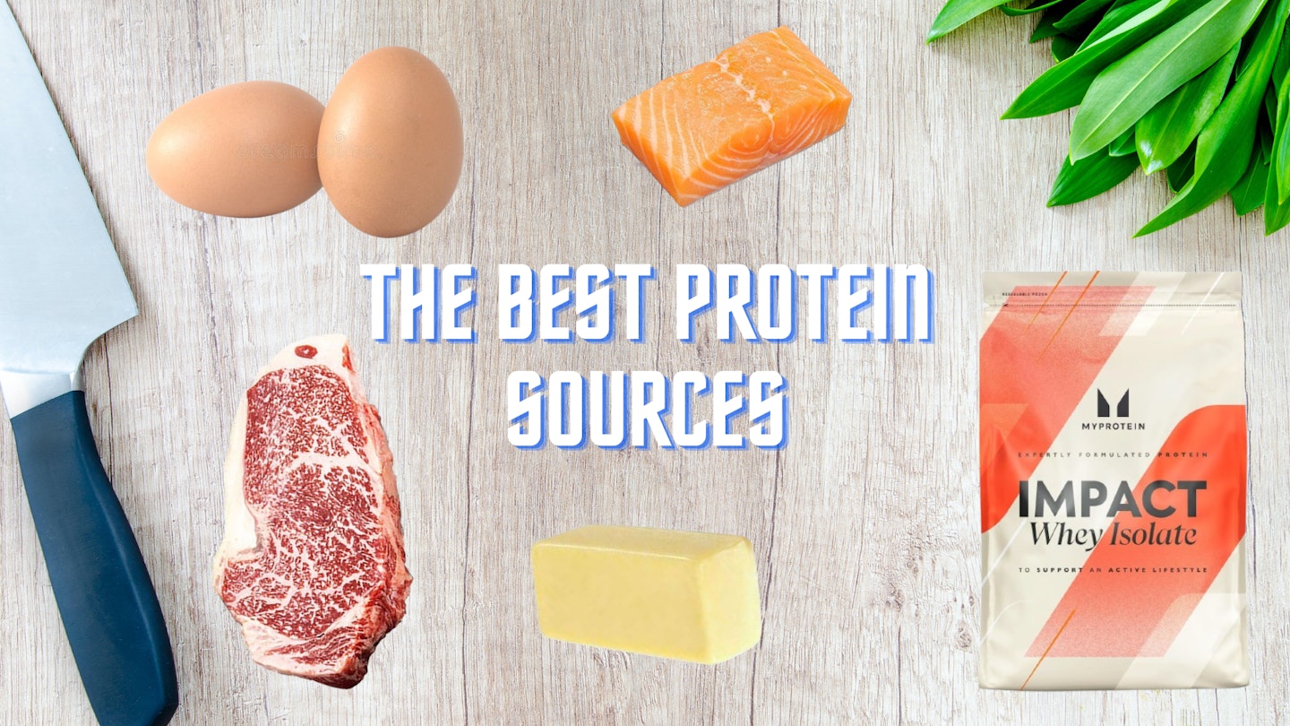 The best protein sources
