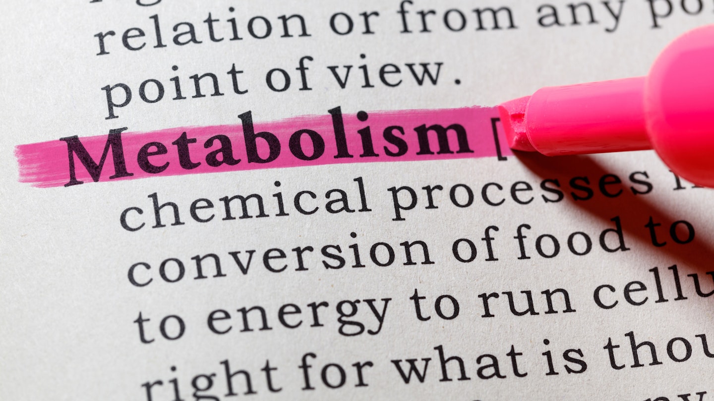 Metabolism definition