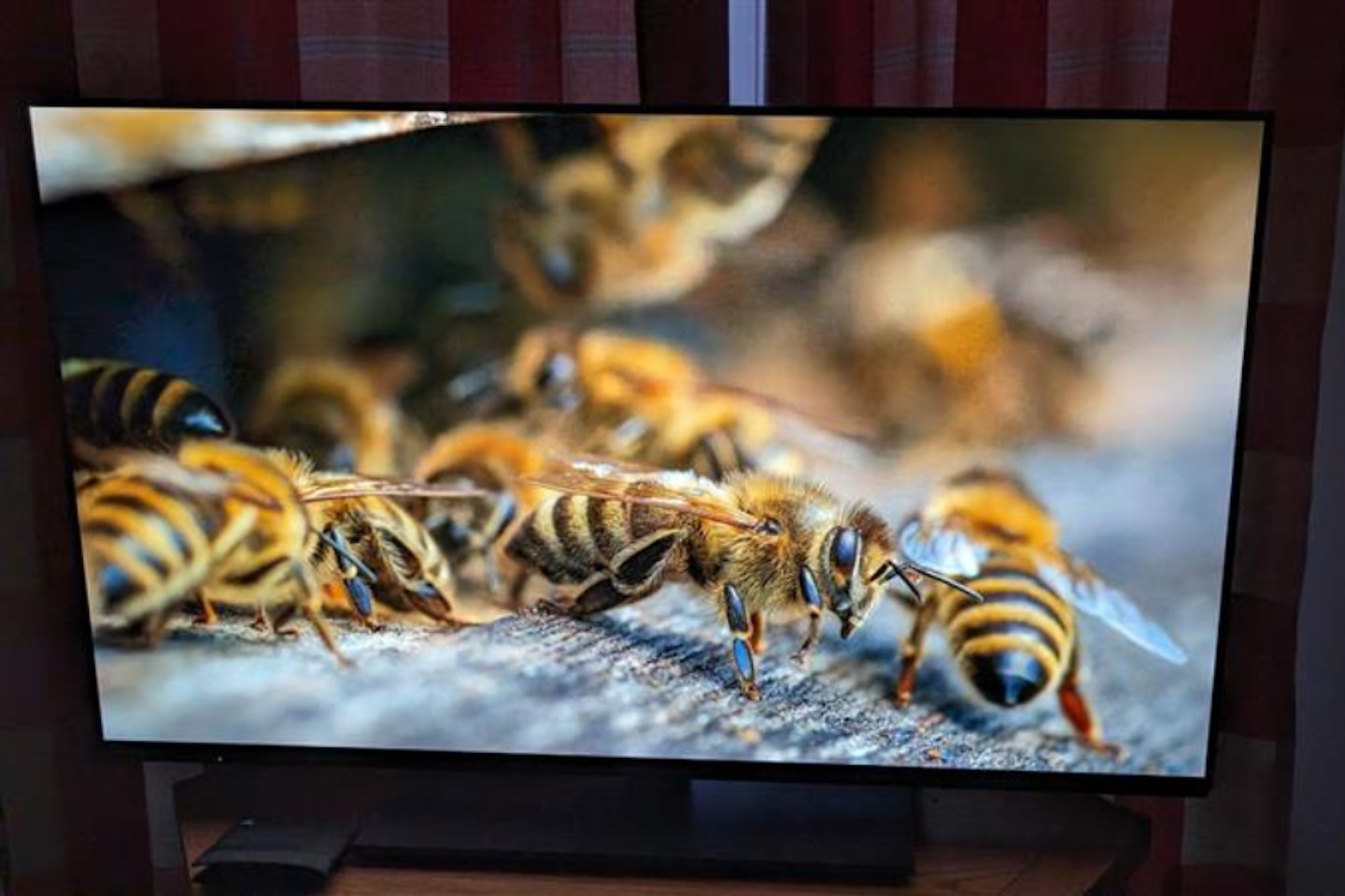 Panasonic-OLED