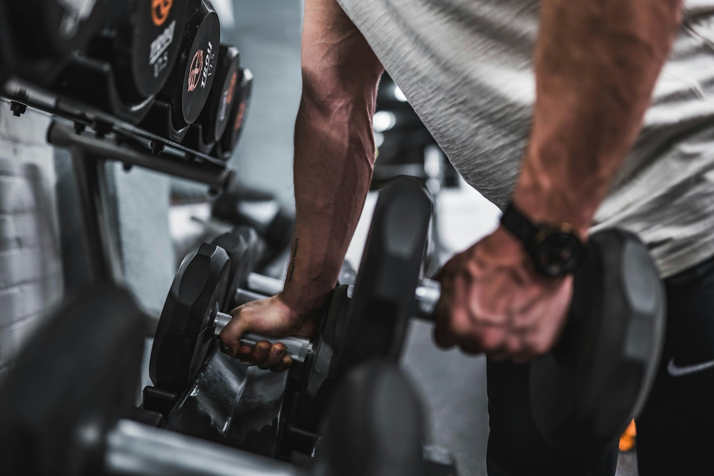 Person holding dumbbells at the gym