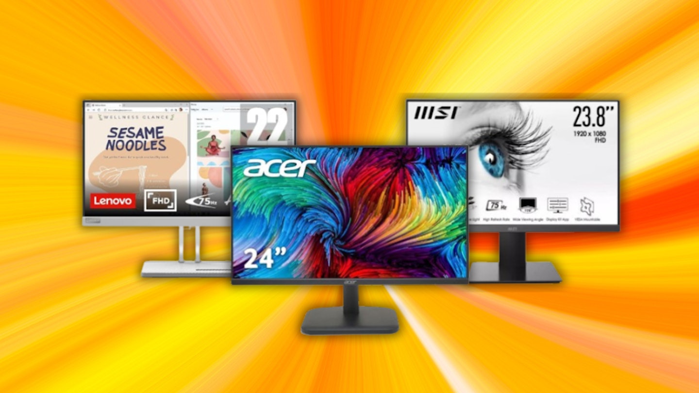 The best monitors under £100