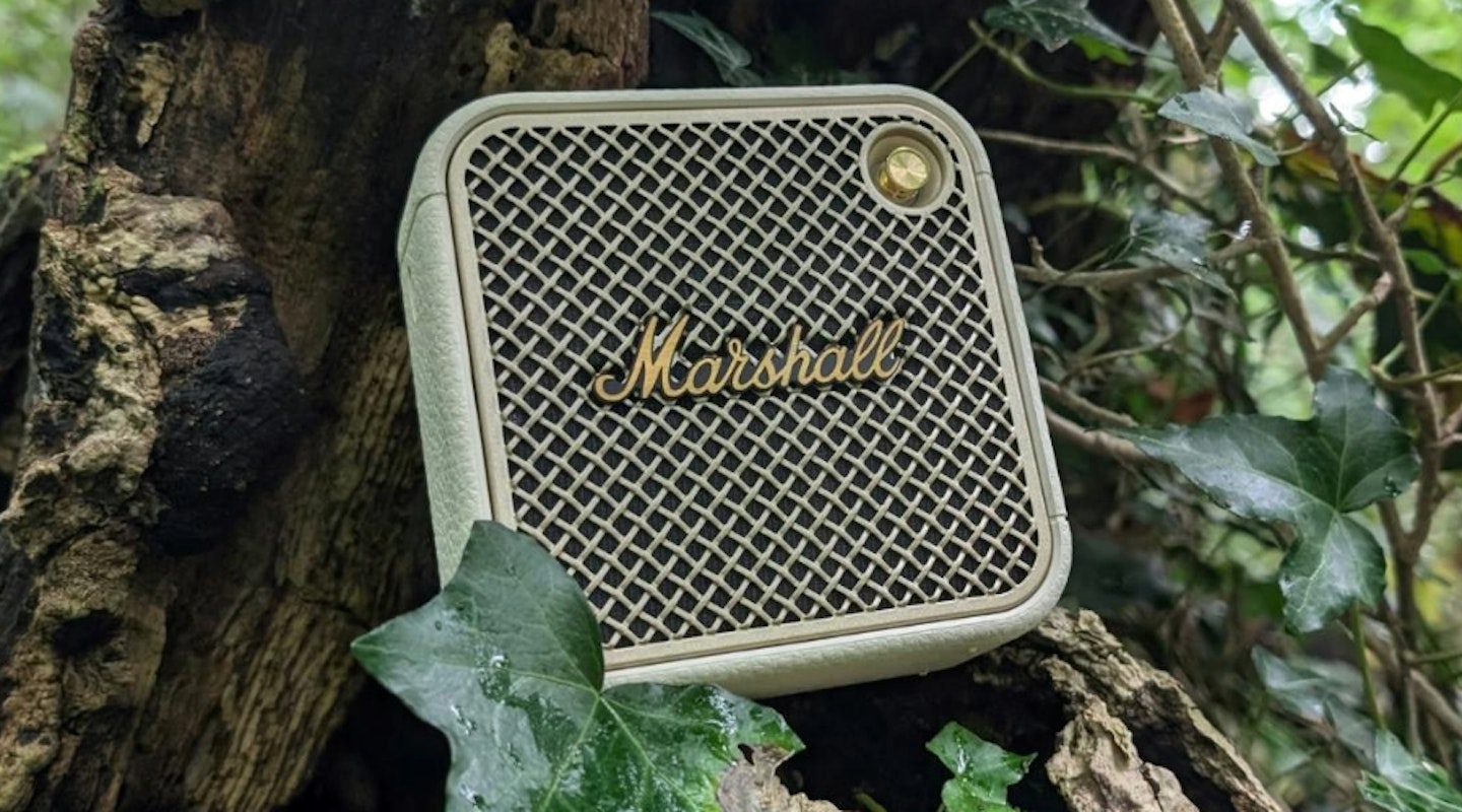 Marshall Willen II portable Bluetooth speaker in nook of tree. One of Marshall's portable speaker range. 