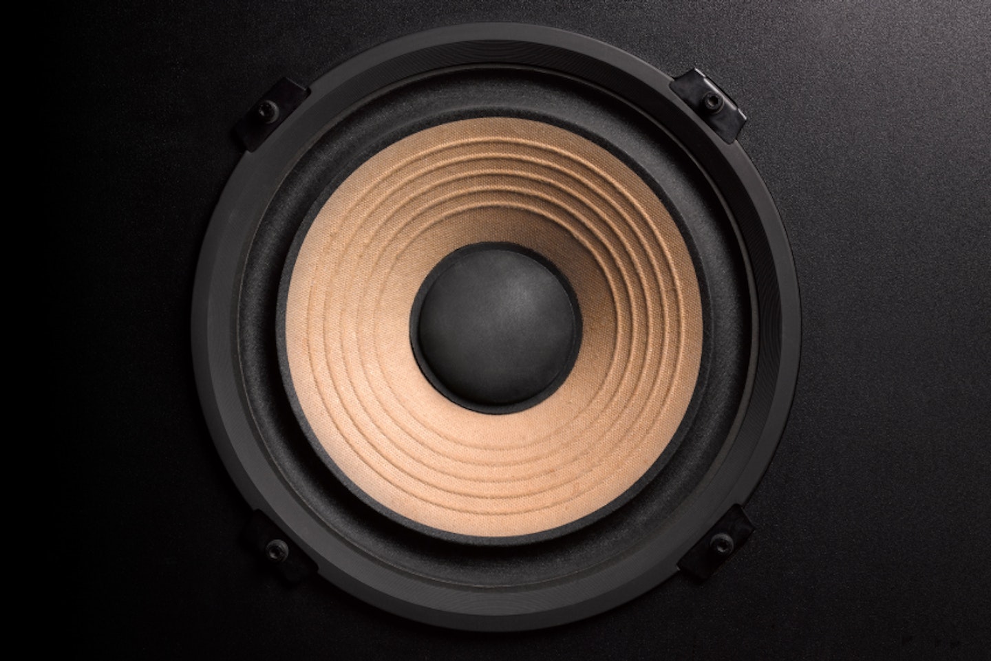 A SPEAKER CONE