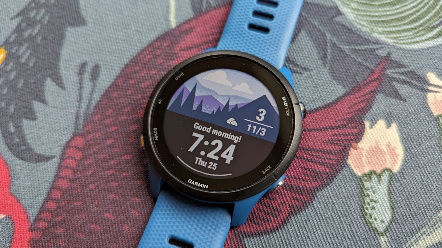 The Morning Report feature on the Garmin Forerunner 255