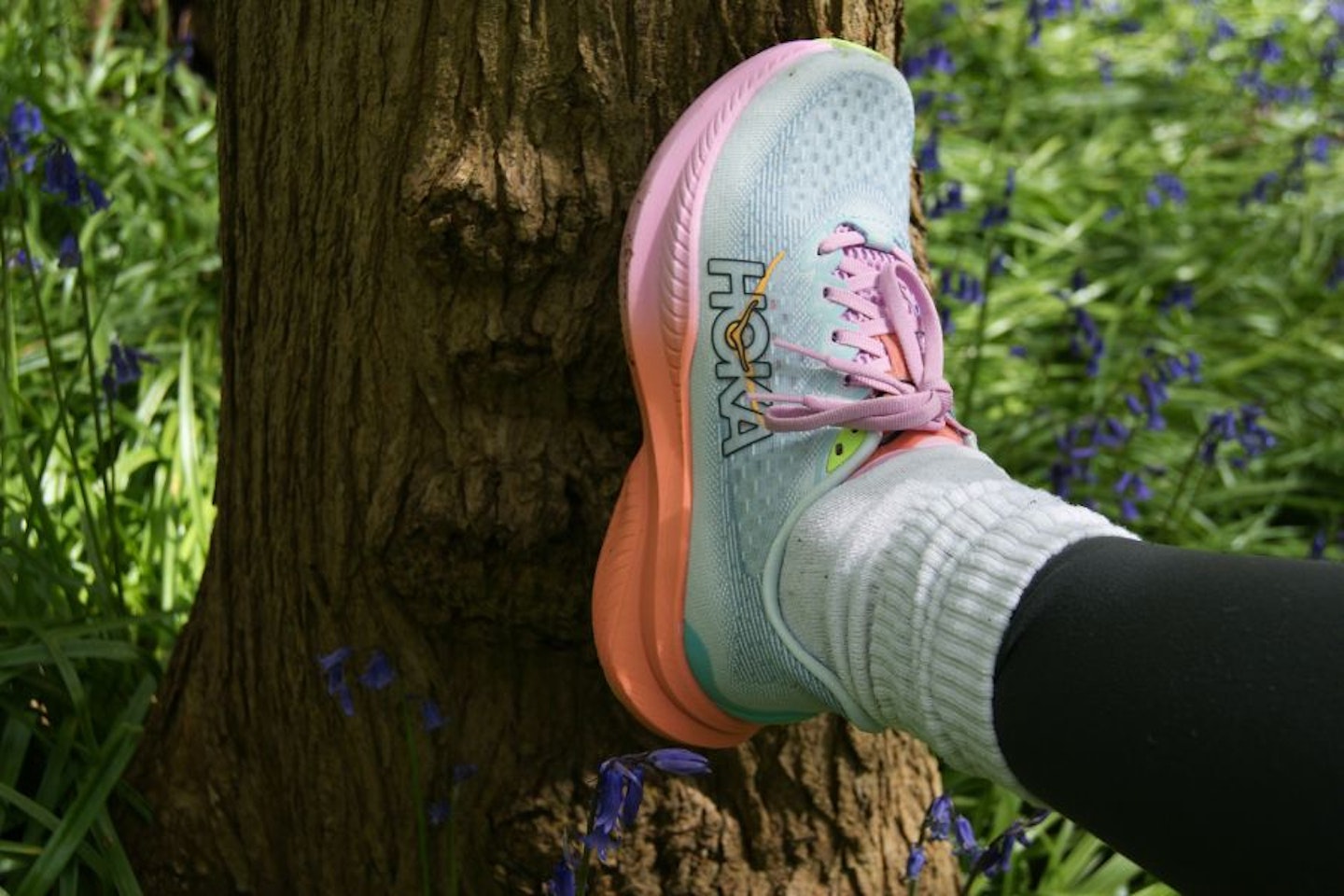 Hoka Mach 6 trainers against a tree in nature