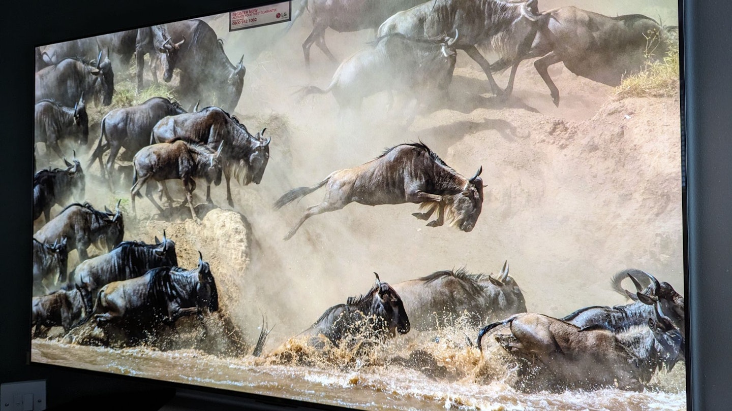 Image of Wildebeest on a smart TV
