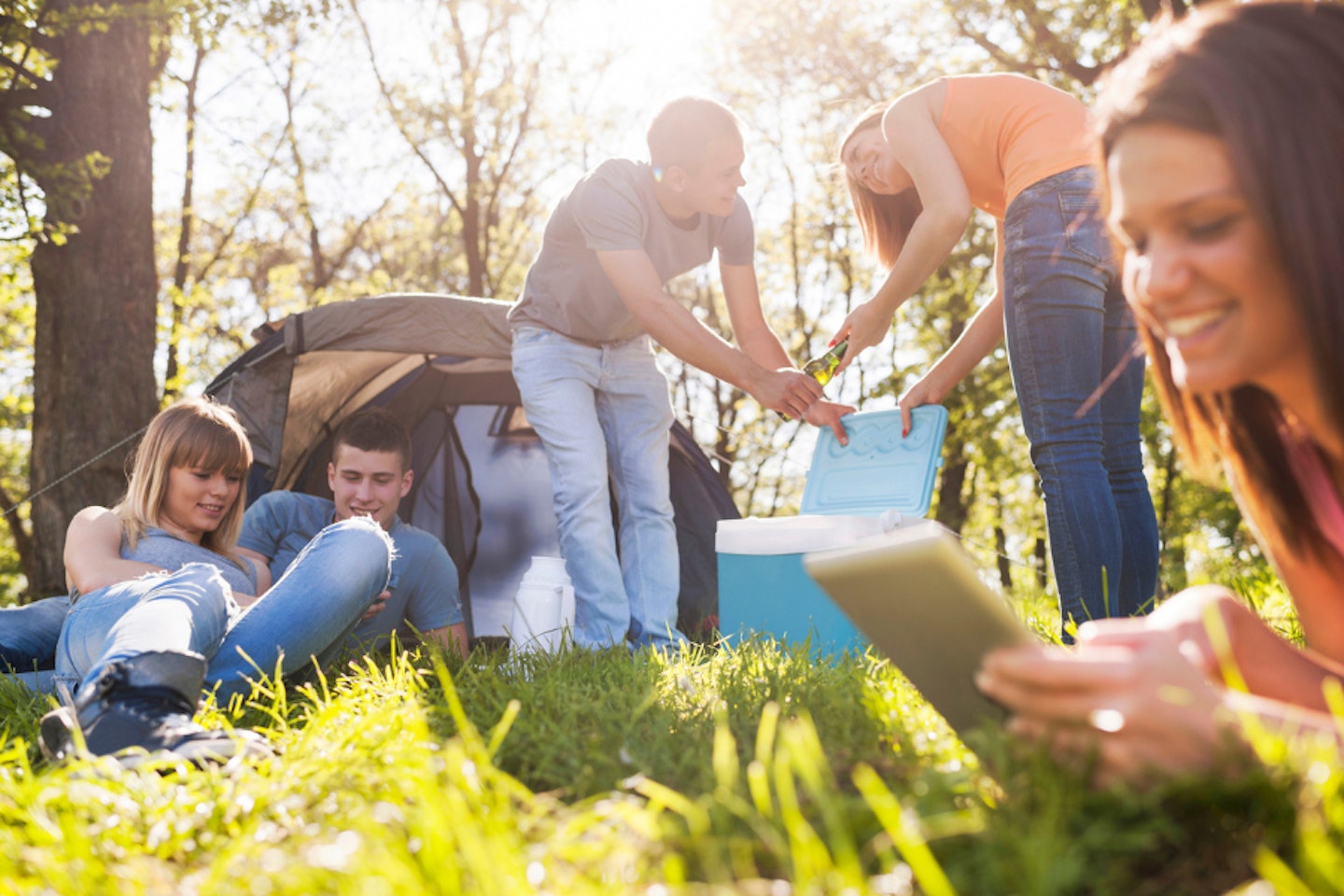 The best camping fridges