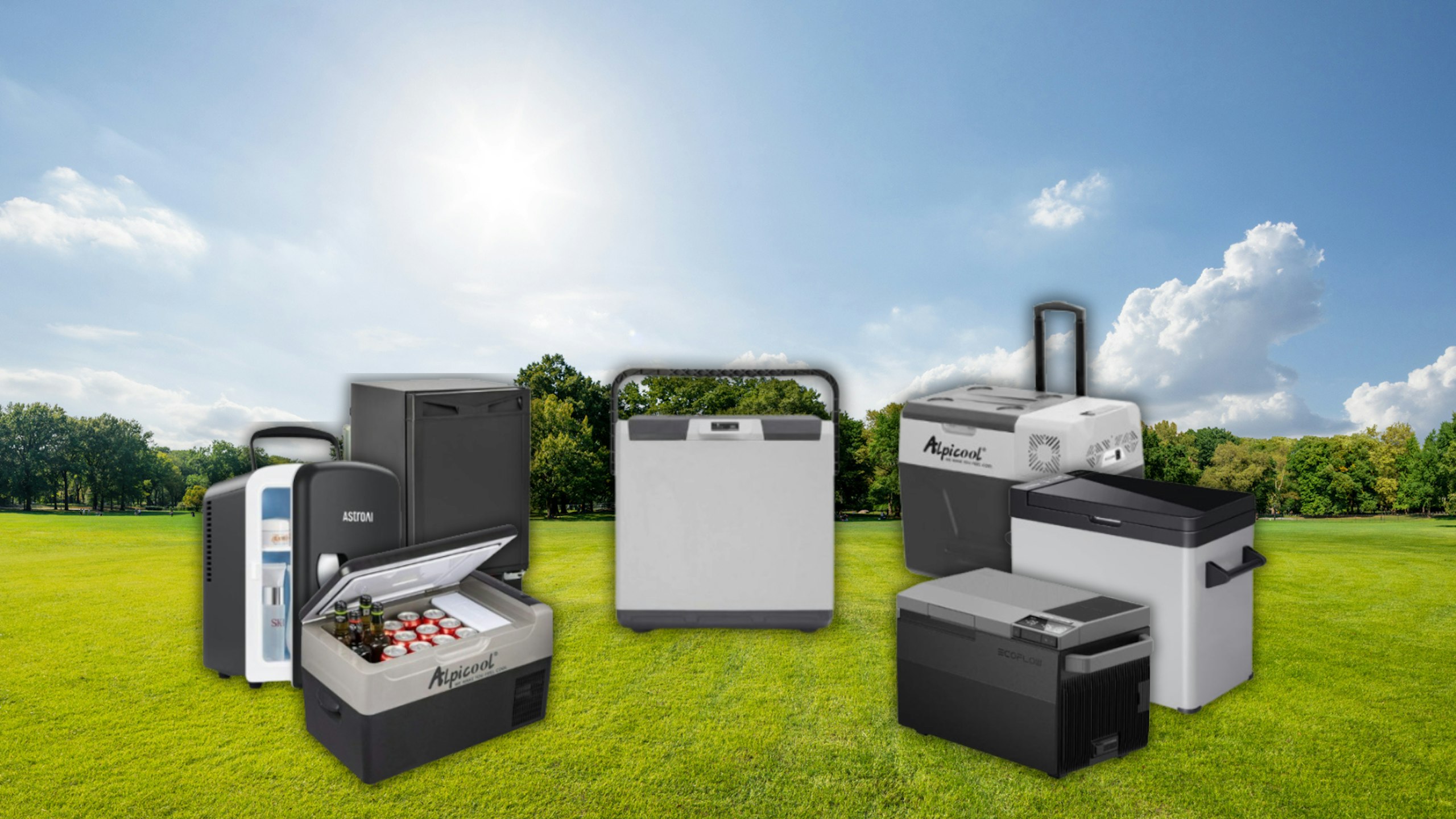 The best camping fridges of the year