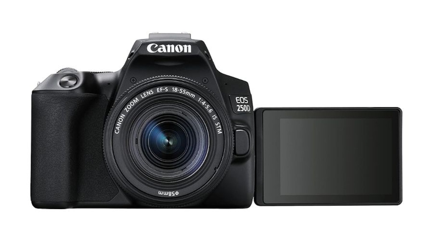 Canon EOS 250D - one of the best travel cameras