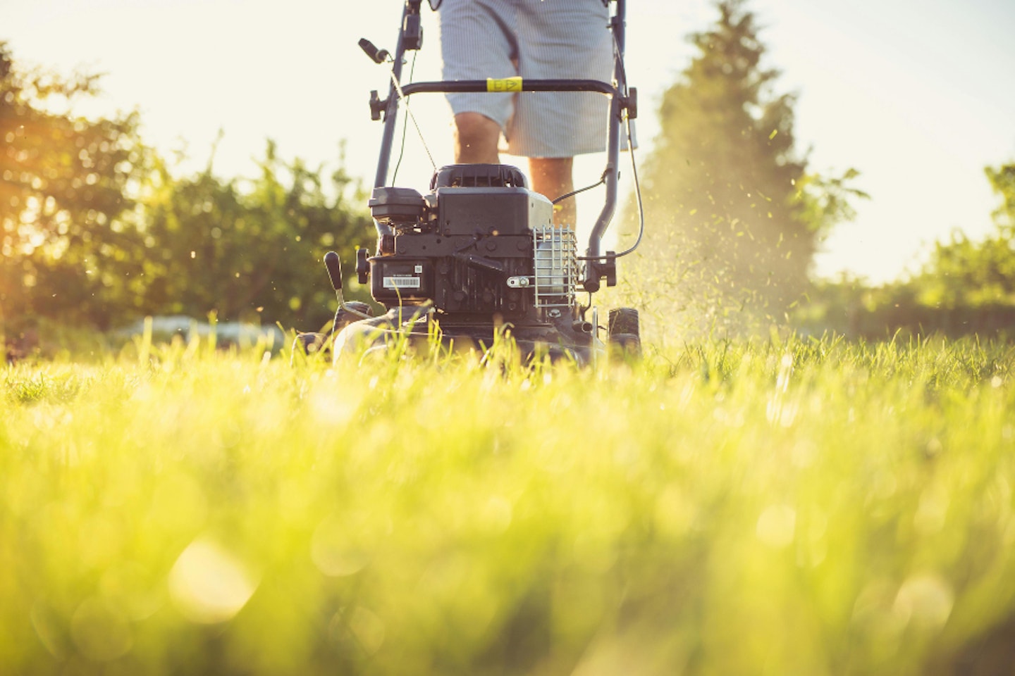 The best petrol lawn mowers