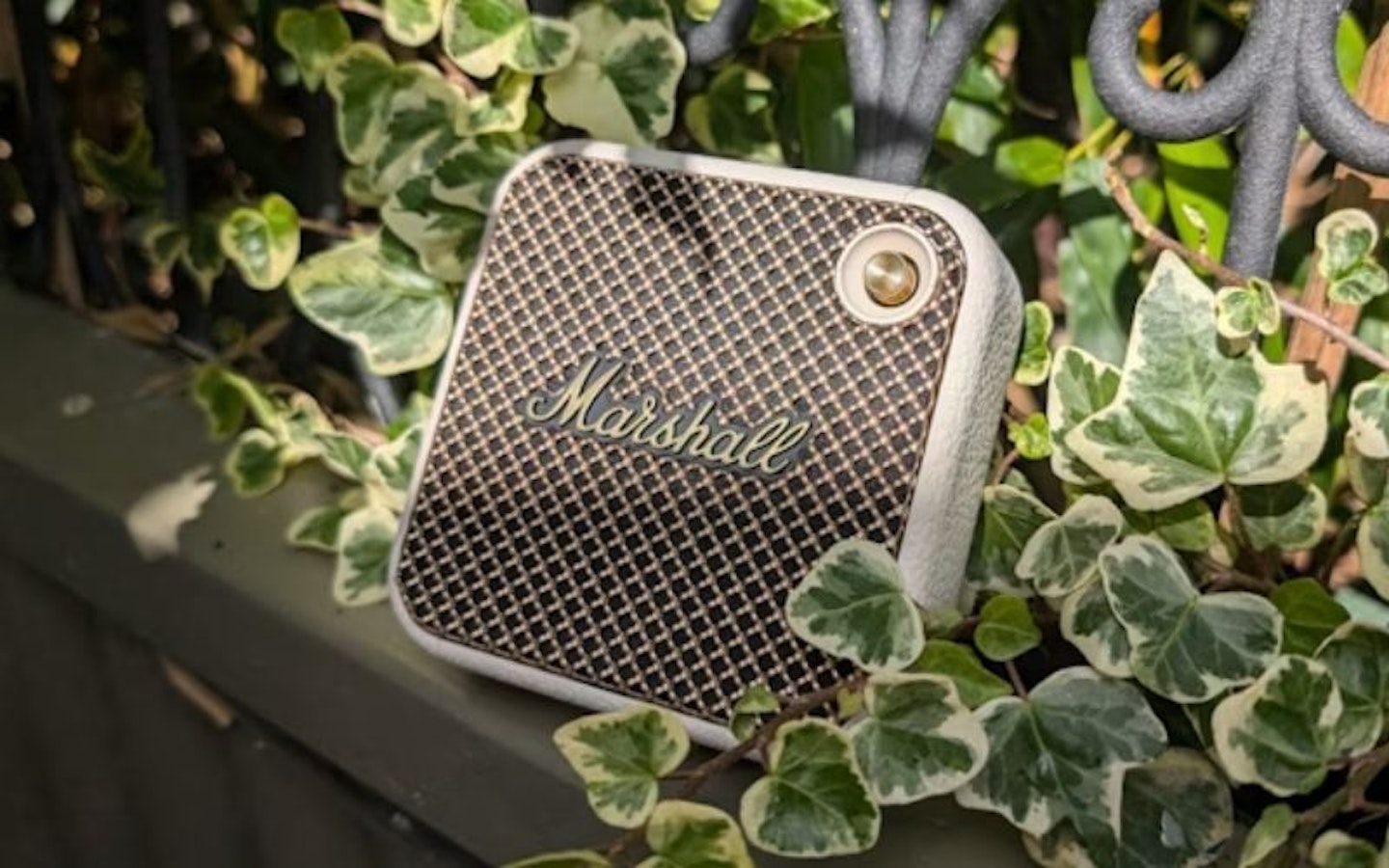 Marshall Willen Bluetooth Speaker