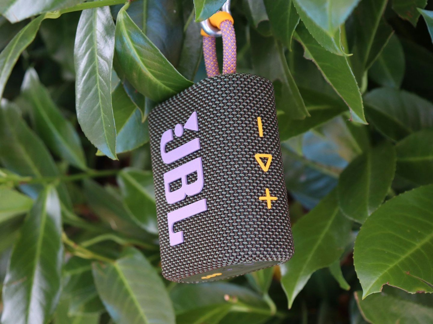 JBL Go 3 Bluetooth speaker hanging on a tree