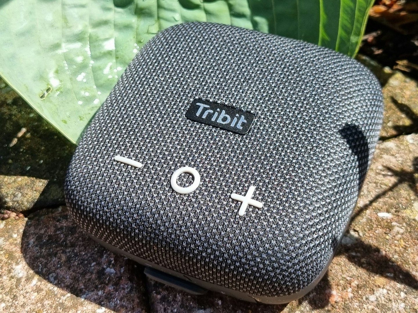 Tribit outside