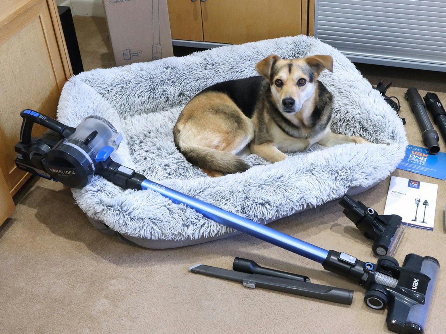 one of the best vacuum cleaners and a dog