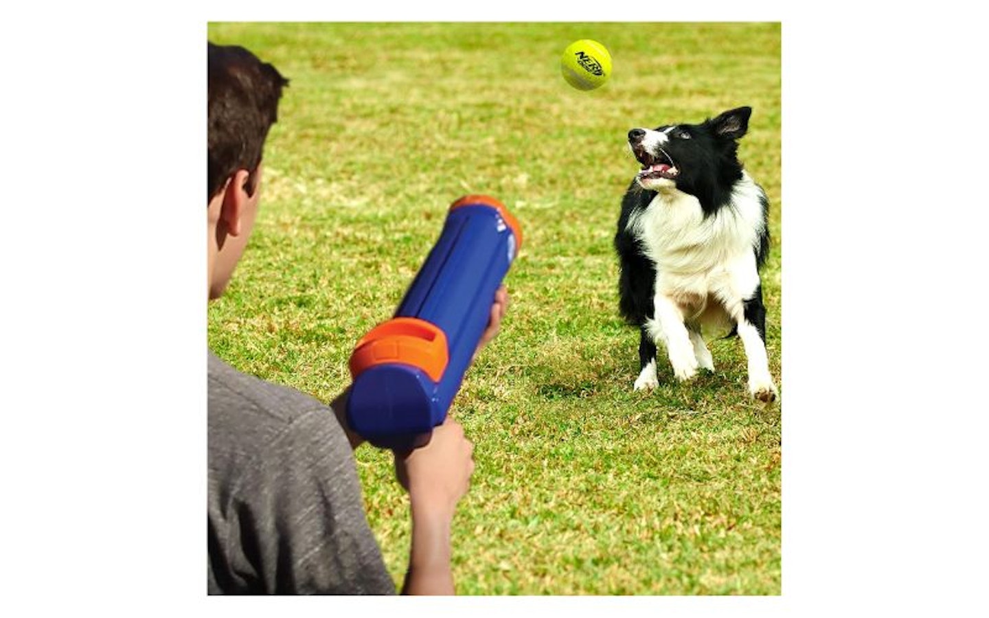 Nerf Dog Compact Tennis Ball Blaster