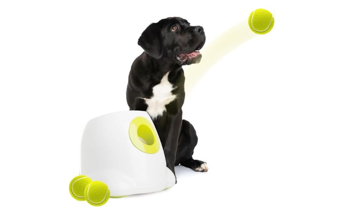 ALL FOR PAWS Automatic Dog Ball Launcher