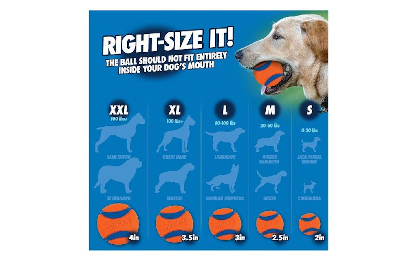 Chuckit! Pro 26XL Dog Ball Launcher