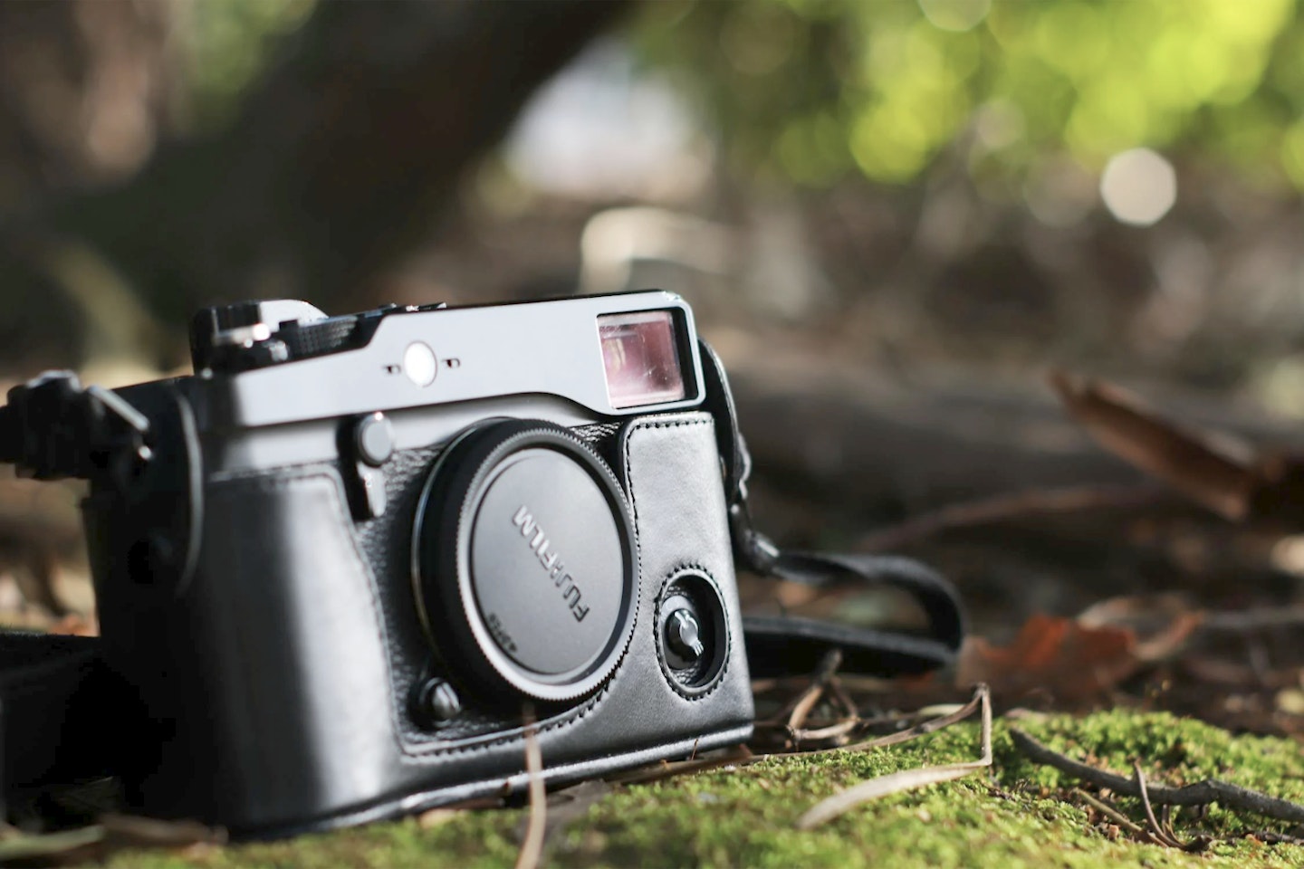 Fujifilm XPro3 with leather case in woodland