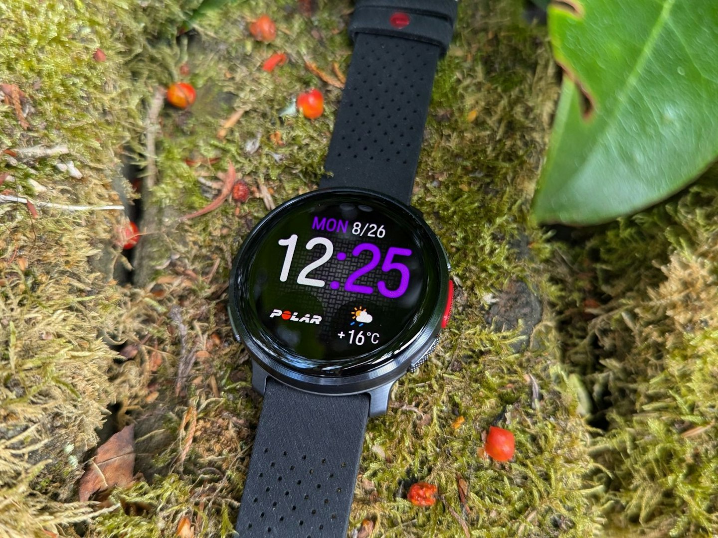 Polar Vantage V3 on moss with berries around it